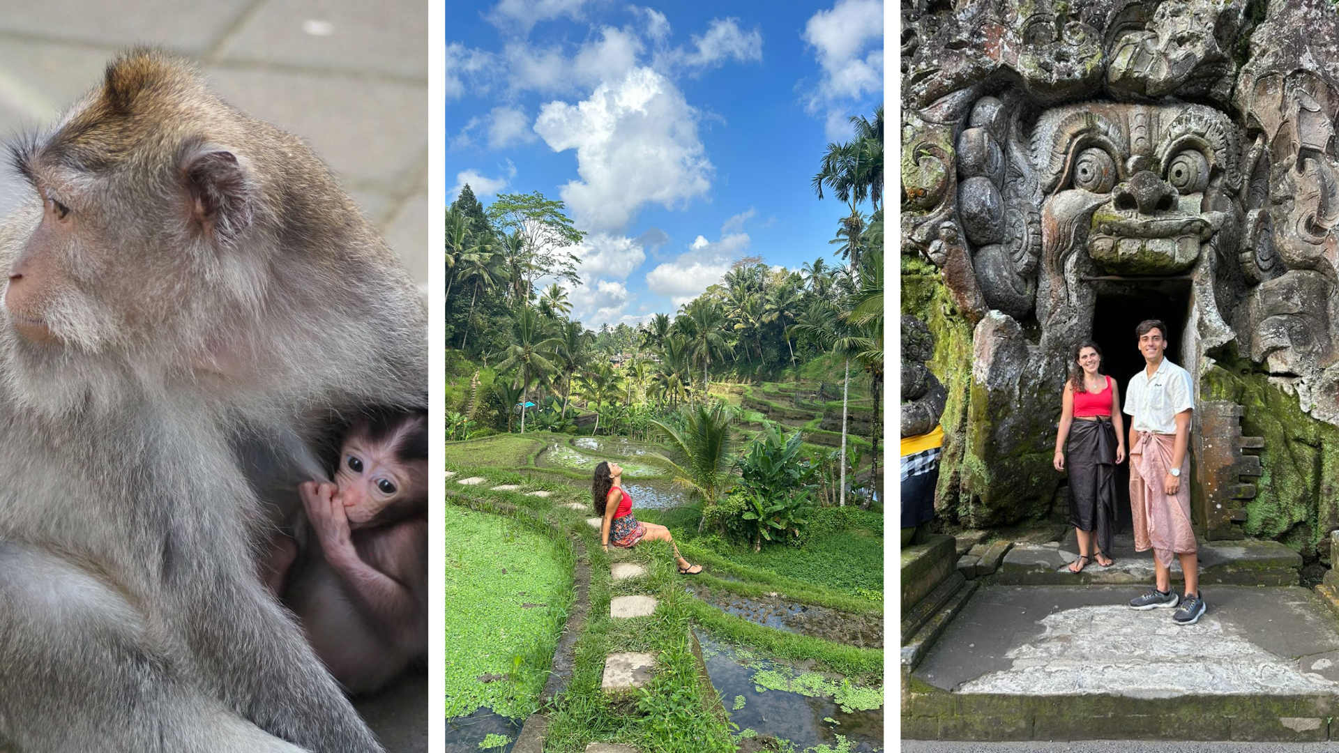  Macacos na Monkey Forest, Campos de arroz de Tegalalang e templo Goa Gajah